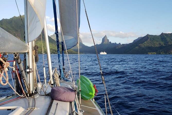 Half day whale watching - Without launch - What you can do aboard Mori Ora