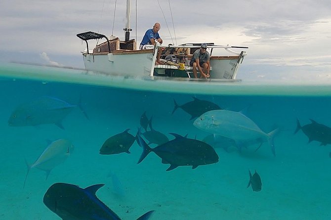 Introduction to sailing and discovering the lagoon - Sandbanks, motu, and Moorea’s old sailing routes