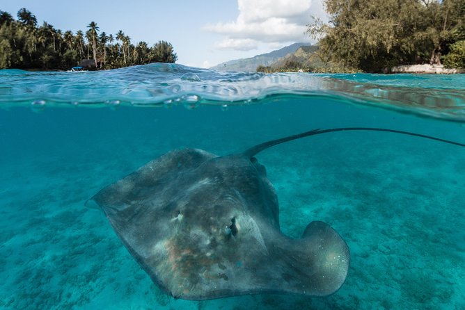Introduction to sailing and discovering the lagoon - How the price compares with the experience