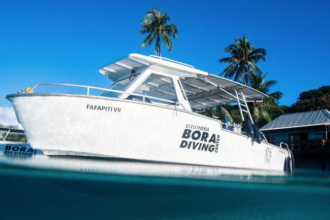 Introductory Dive in Bora Bora (afternoon) - Who will enjoy this most