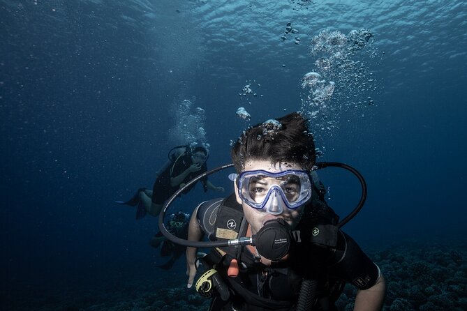 Introductory Scuba Diving Experience in Bora Bora - Learning scuba in Bora Bora’s protected lagoon