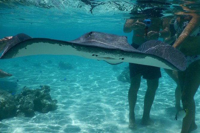 Jet-ski excursion 3 hrs Jet ski excursion to Moorea (single or two-seater) - Guides, safety, and finding your comfort speed