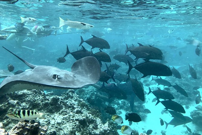 Jet Ski Moorea Customed Tour only - Equipment, group size, and the tandem issue