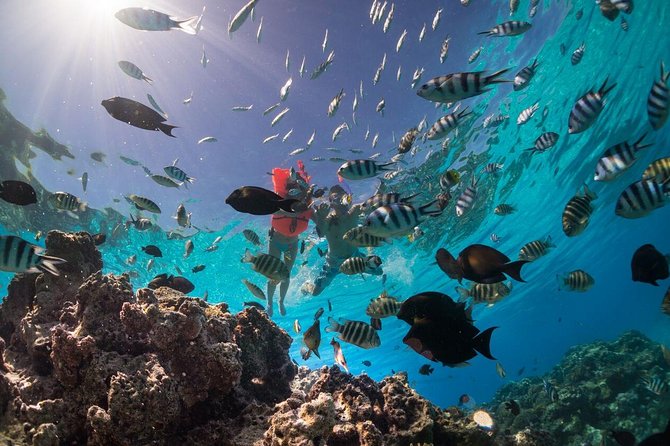 Keishi Tour Half Day Shared Excursion - Key points to know before you book