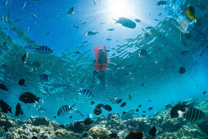 Keishi Tour Half Day Shared Excursion - Practical details that affect your day