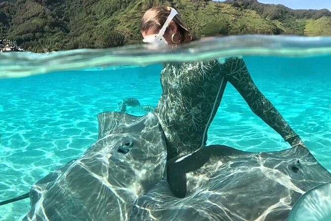 Lagoon and Marine Wildlife Tour in Moorea - A morning on Moorea’s turquoise lagoon