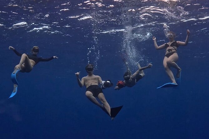 Lagoon and Marine Wildlife Tour in Moorea - The sandbar swim stop
