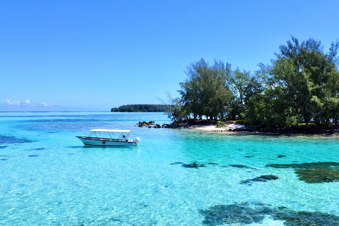 Lagoon and Marine Wildlife Tour in Moorea - What the three-hour schedule means for you