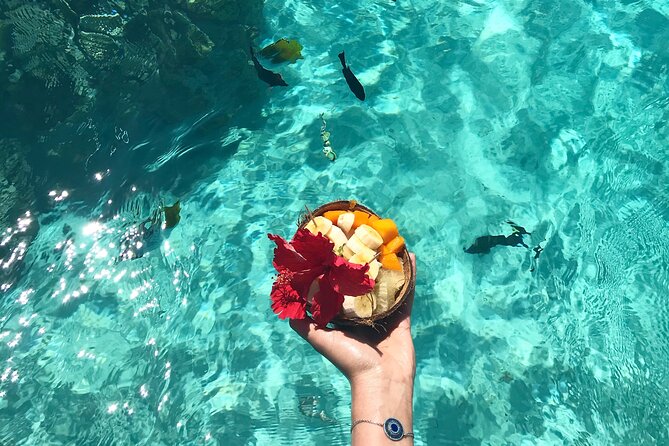 Lagoon and Wildlife Discovery on a Private Boat in Moorea - Turtles and Dolphins Are Possible Extras