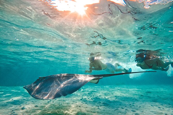 Lagoon and Wildlife Discovery on a Private Boat in Moorea - Fresh Fruit and a Useful Photo Package