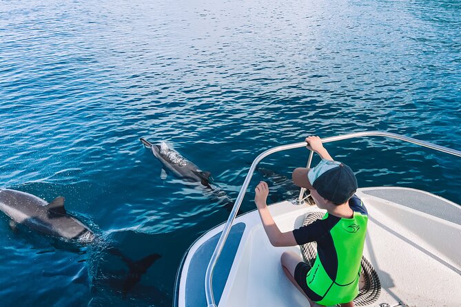 Lagoon and Wildlife Discovery on a Private Boat in Moorea - Who Will Enjoy This Most
