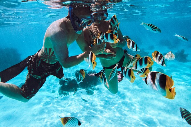 Lagoon and Wildlife Discovery on a Private Boat in Moorea - Weather, Changes, and Cancellation