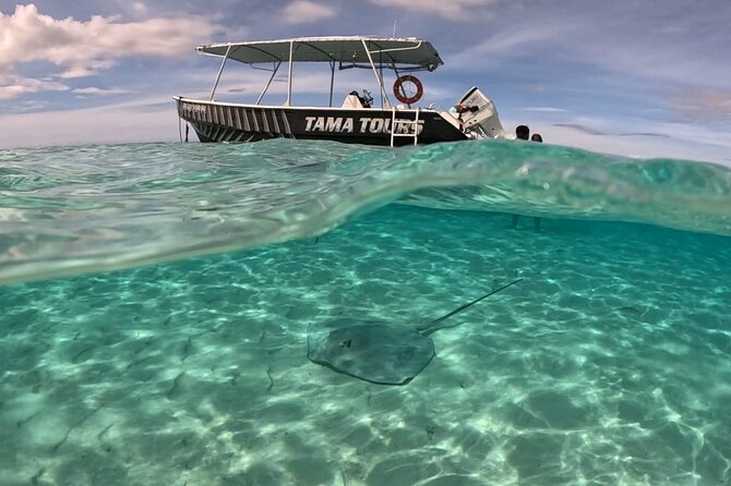 Lagoon Exploration and Snorkeling in Moorea - Meeting Captain Tama at Cocobeach Restaurant