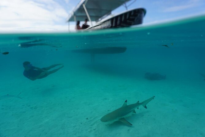 Lagoon Exploration and Snorkeling in Moorea - Opunohu Bay and the First Views