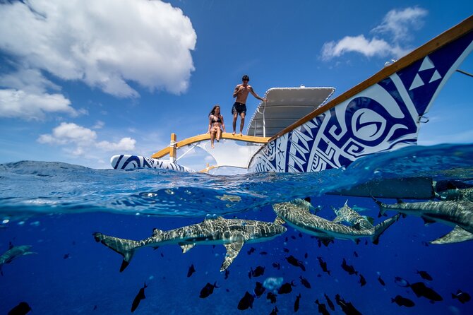 Lagoon Snorkeling Tour with Tahitian Oven Lunch in Bora Bora - Timing, transport, and practical details