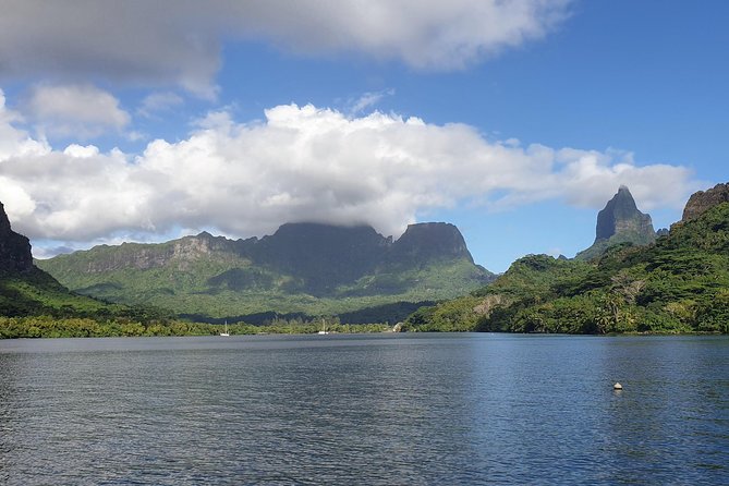 Lagoon Tour - Discover the magnificent lagoon of Moorea - The sandbar: rays and sharks in shallow water