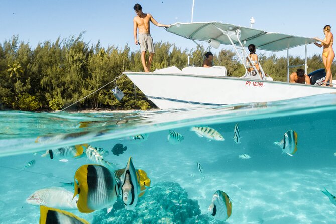 Lagoon Tour in Moorea in Small Group with Lunch - A small boat makes Moorea feel more personal