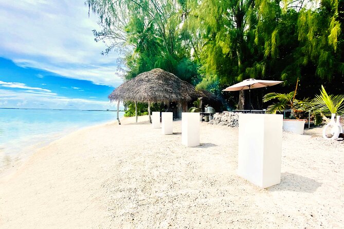 Lagoon Tour + lunch with your feet in the water on a Motu - Stop two: turtles and the wider reef life