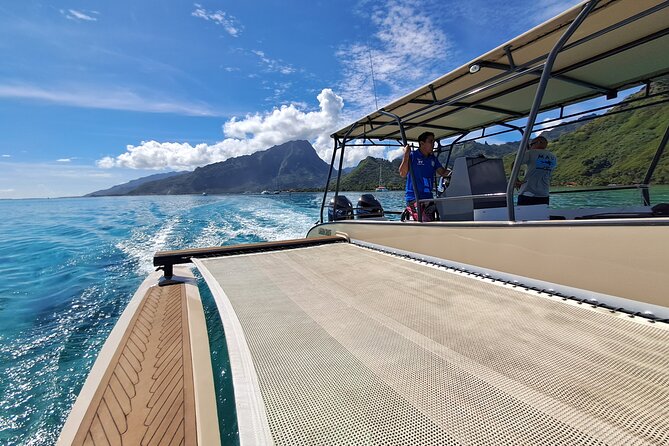 Lagoon Tour + lunch with your feet in the water on a Motu - Who will enjoy this most?
