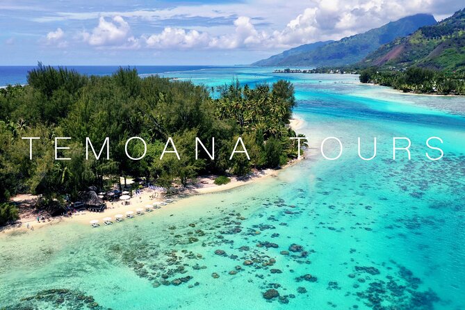 Lagoon Tour + lunch with your feet in the water on a Motu - Stop one: stingrays and sharks in the lagoon