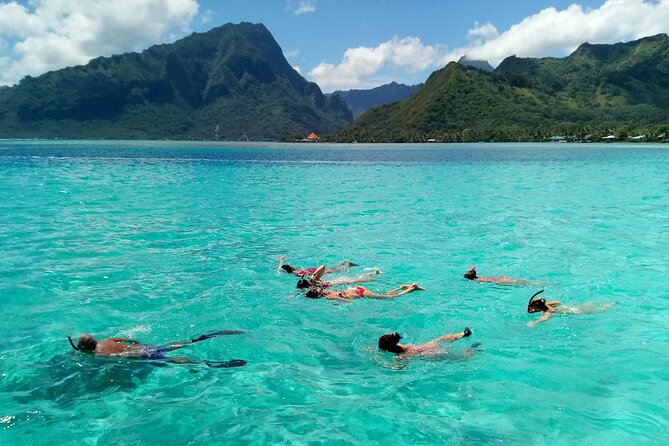 Land and Sea cultural tour to discover traditions, heritage and the lagoon - Lunch with your feet in the water