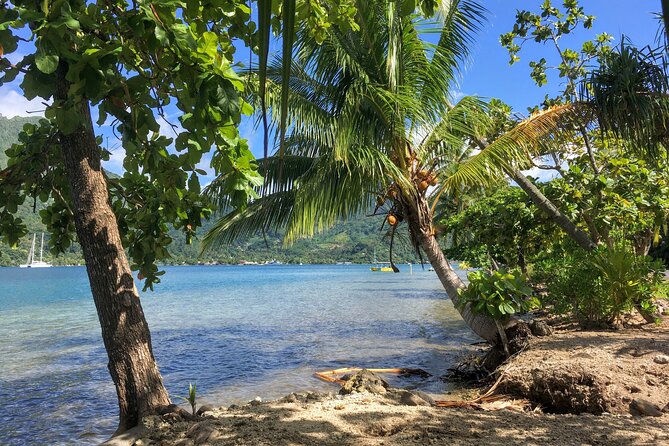 Land and Sea cultural tour to discover traditions, heritage and the lagoon - What the $173.69 price gets you