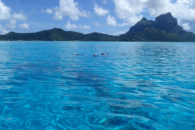 Luxury Full Day Snorkeling - Why a private boat can be worth the high price