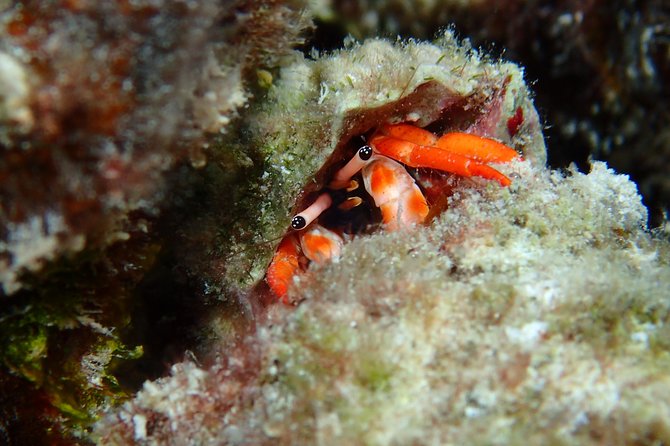 Luxury Full Day Snorkeling - Weather, cancellation, and planning details