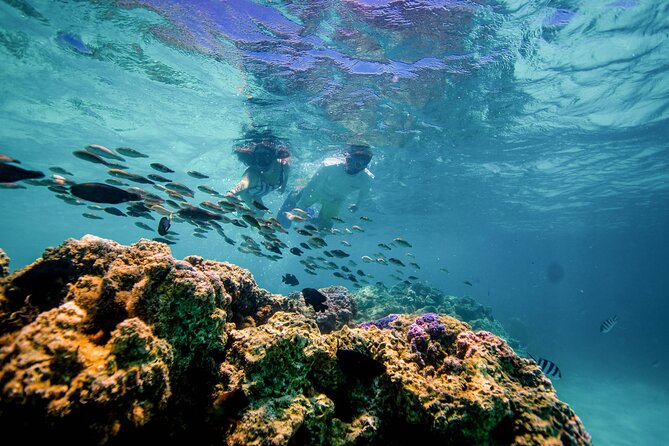 LUXURY PRIVATE Catamaran Bora Bora : Half-Day Trip - What the Four-Hour Schedule Feels Like