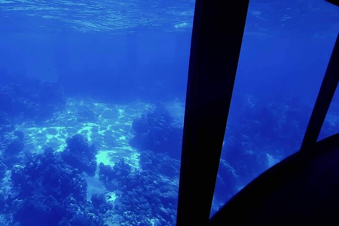 Magical Boat Tour with Underwater Cabin in Bora Bora! - Key things to know before booking