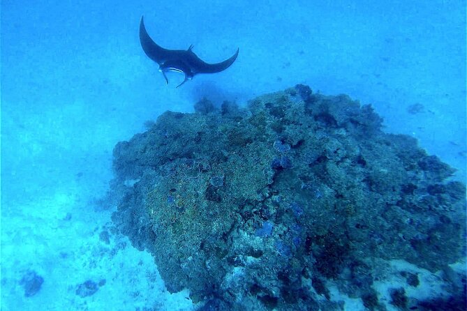 Magical Boat Tour with Underwater Cabin in Bora Bora! - Seeing Bora Bora below the surface without a full swim