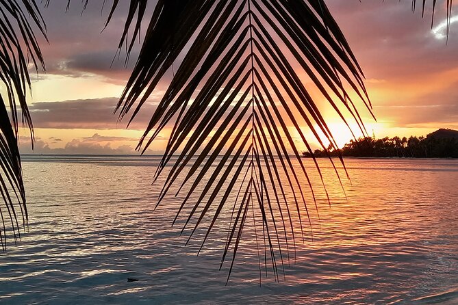 Magical Boat Tour with Underwater Cabin in Bora Bora! - Fruit skewers, coffee, tea, and a relaxed pace
