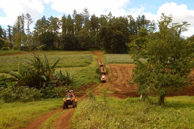 Medium Combo in Moorea of 2 hours of Jetski and 2h30 of Quad - Quad riding through pineapple country