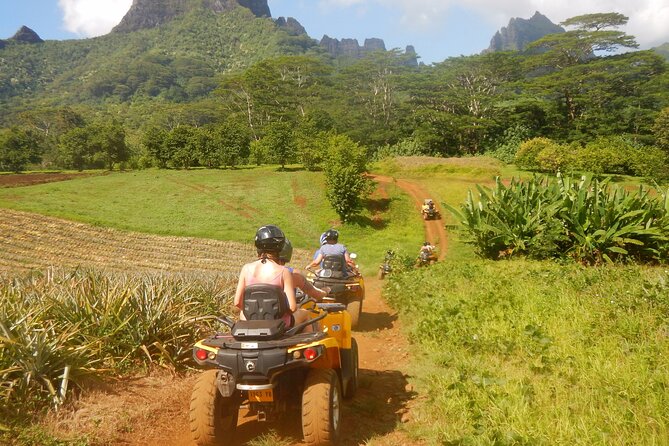 Medium Magical Combo in Moorea of 2 hours of Jetski and 3h30 of Quad - Opunohu Bay from the water
