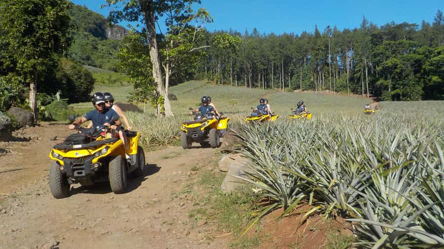 Mo'orea: Guided ATV Nature Tour - Key points at a glance