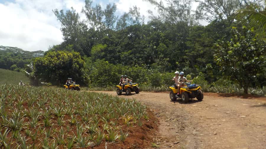 Mo'orea: Guided ATV Nature Tour - Pineapple fields, fruit stops, and island flavors