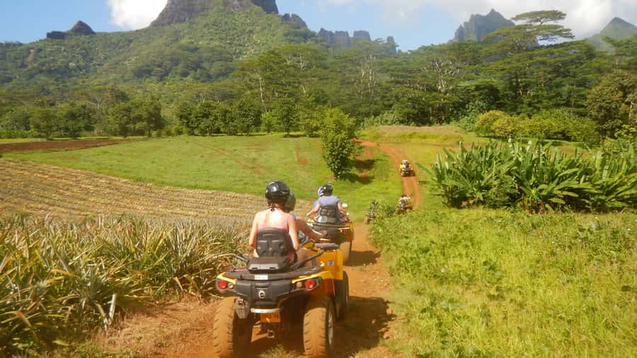 Mo'orea: Guided ATV Nature Tour - Belvedere and the two famous bays