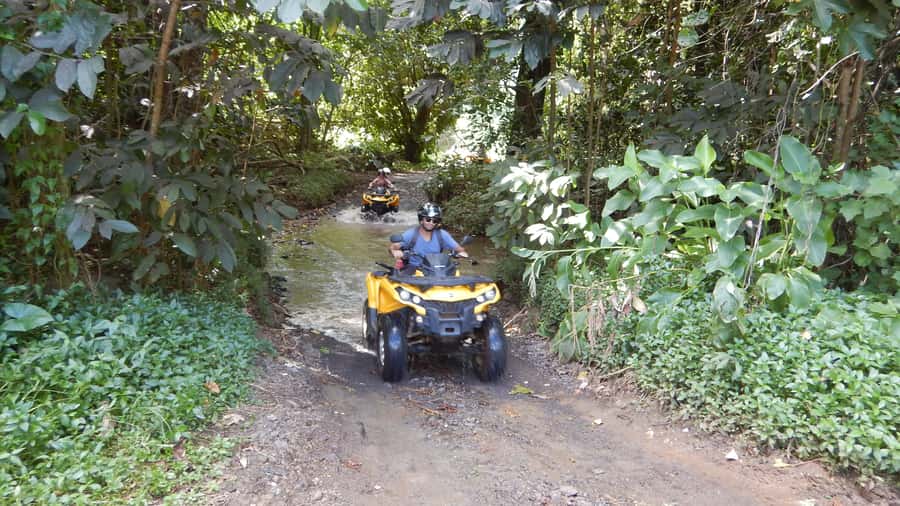 Mo'orea: Guided ATV Nature Tour - Starting in Opunohu Valley