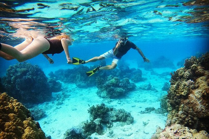 Mo'orea Half Day Private Tour with Snorkeling and Cruising the Lagoon - Key points at a glance