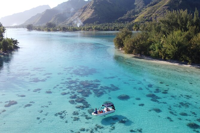 Mo'orea Half Day Private Tour with Snorkeling and Cruising the Lagoon - Black tip reef sharks and rays