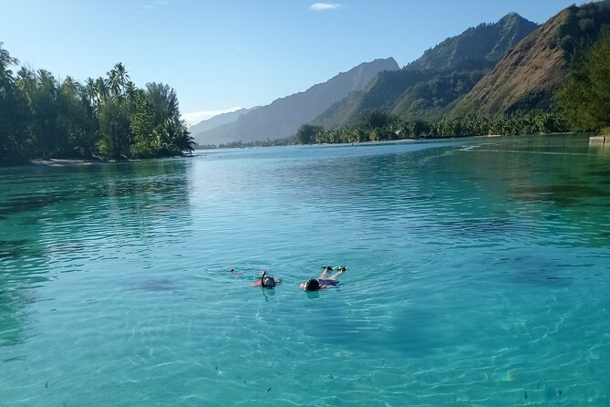 Mo'orea Half Day Private Tour with Snorkeling and Cruising the Lagoon - Fruit, drinks, and the ride home