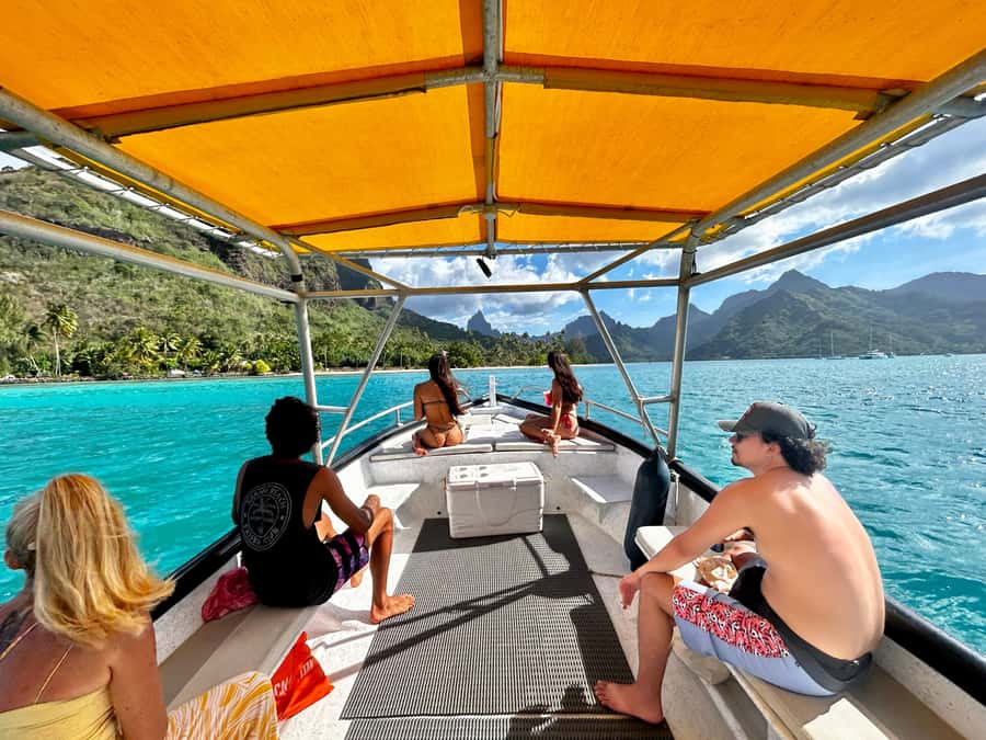 Moorea 4H Shared Boat Tour Whale Swimming and Snorkeling - Four hours from Moorea’s pontoons to open water