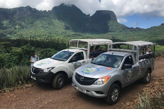 Moorea 4WD Tour Inc. Belvedere, Pineapple Farm, Magic Mountain... - Key points before you book