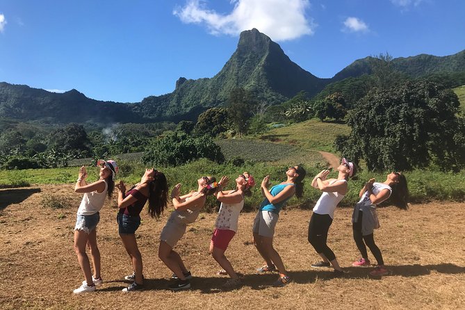Moorea 4WD Tour Inc. Belvedere, Pineapple Farm, Magic Mountain... - Morning departure, cruise port pickup, and timing