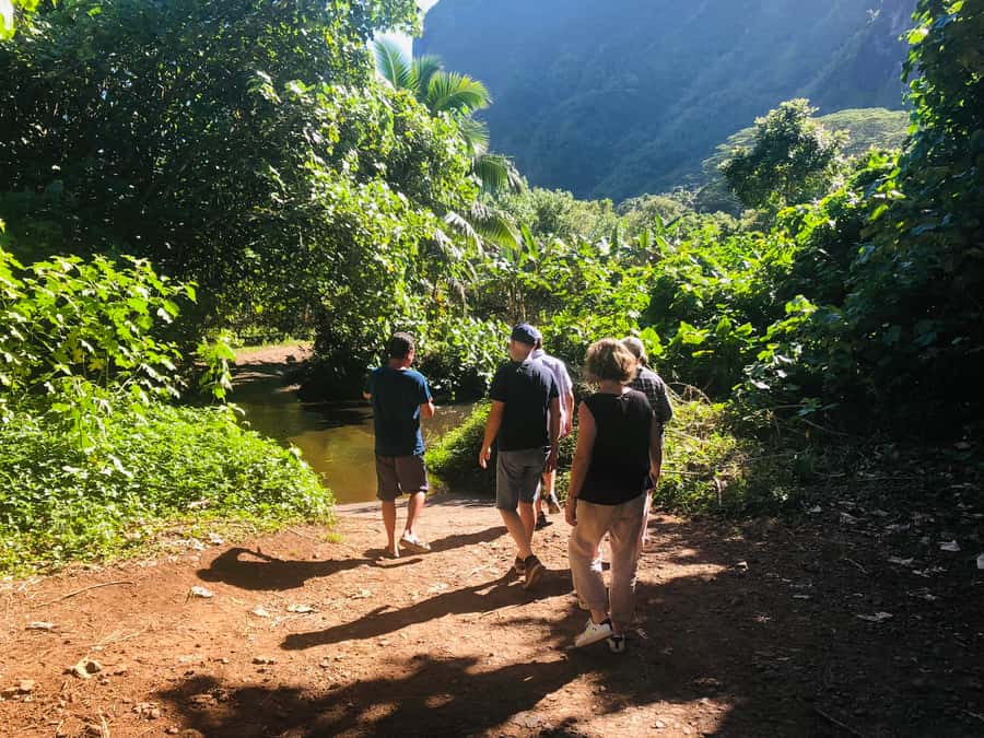 Moorea:4X4 safari excursion between land and sea with lunch - Lunch in a tropical garden