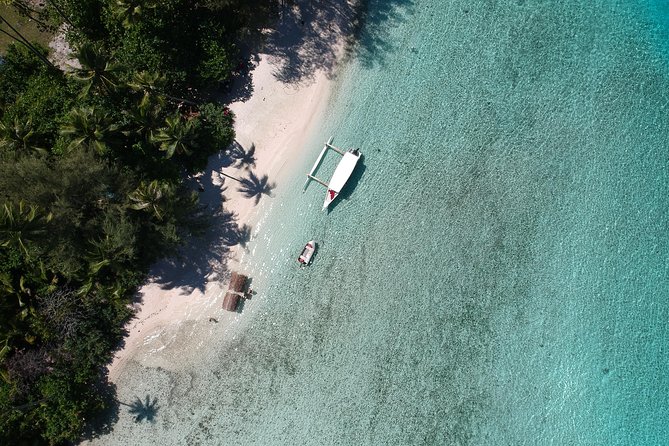 Moorea 6-Hour Snorkeling and Lunch Shared Tour - Is the $138.55 price good value?