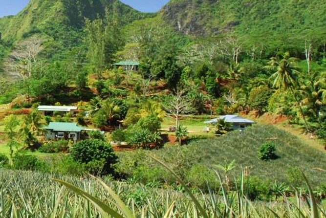 Moorea Aito 4WD Safari Tour - Half day - The steep ride to Magical Mountain