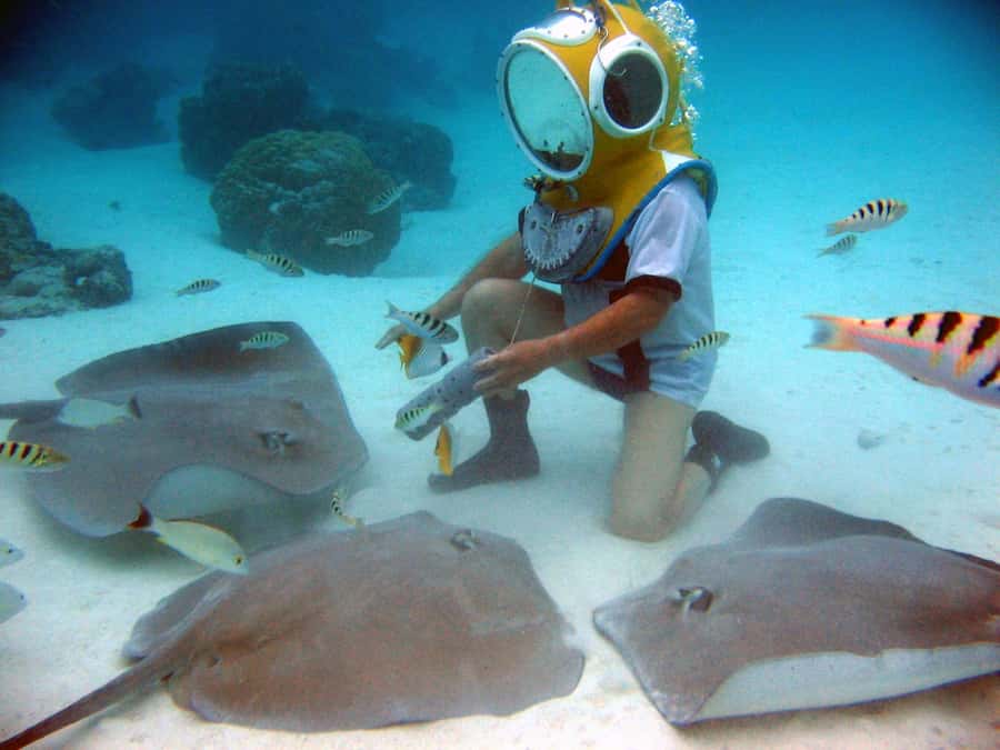 Moorea: Aquablue Helmet Underwater Walking Experience - How the Helmet Setup Affects Comfort