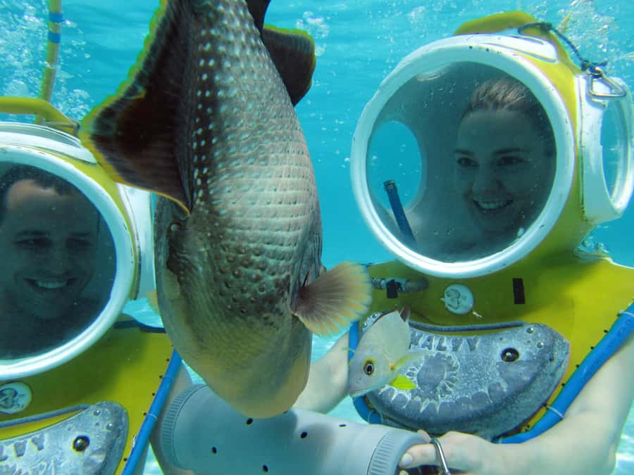 Moorea: Aquablue Helmet Underwater Walking Experience - Practical Tips for a Smoother Morning or Afternoon