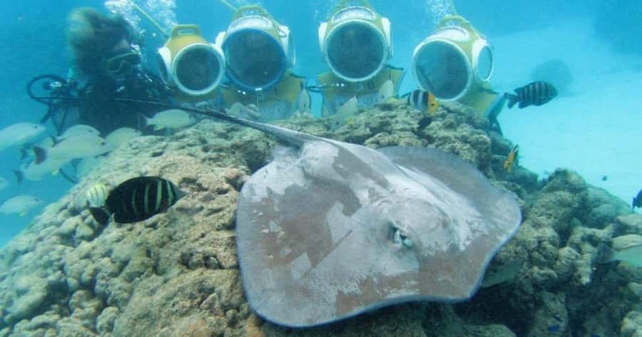 Moorea: Aquablue Helmet Underwater Walking Experience - A Short Boat Ride Into Moorea’s Lagoon